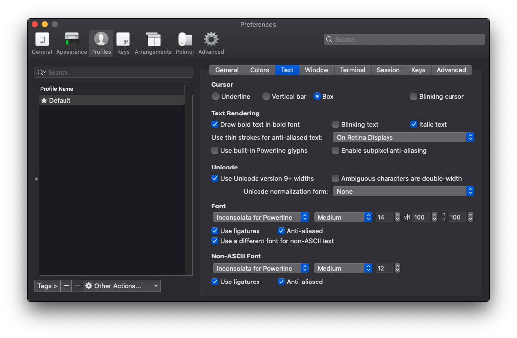 iTerm Text Settings